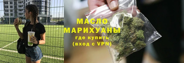 индика Богородск