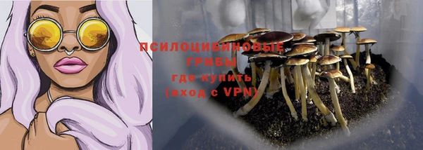 гашик Богданович