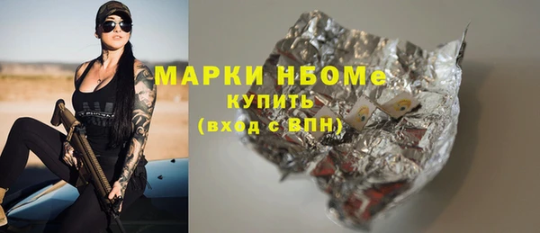 индика Богородск