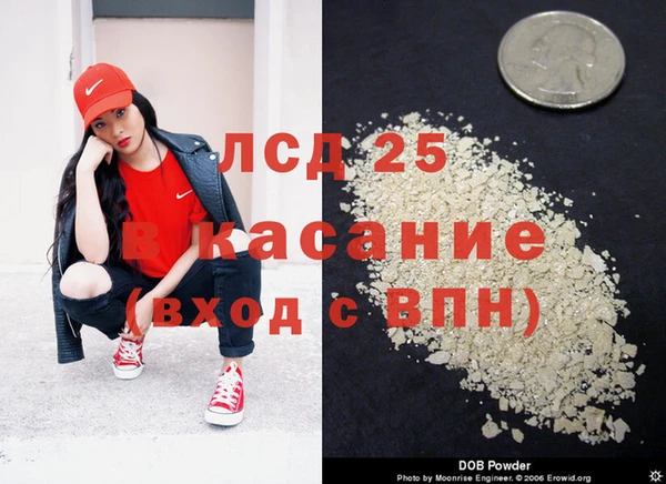 гашик Богданович