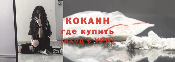 индика Богородск