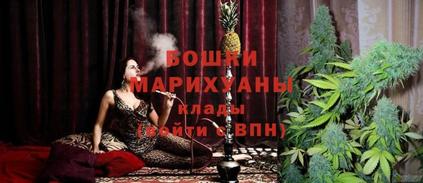 индика Богородск