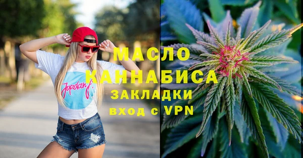индика Богородск