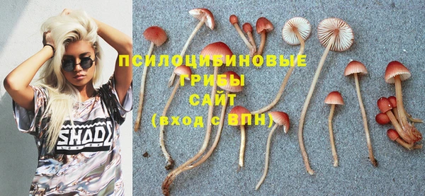 альфа пвп Беломорск