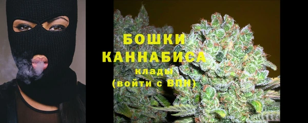 индика Богородск