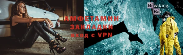 индика Богородск