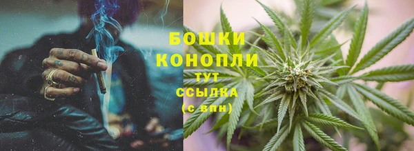 ПСИЛОЦИБИНОВЫЕ ГРИБЫ Белокуриха