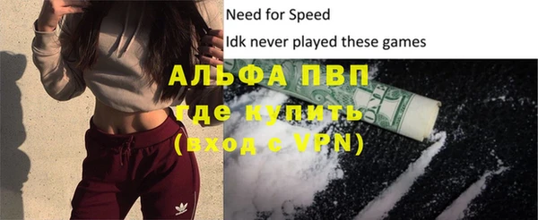 индика Богородск