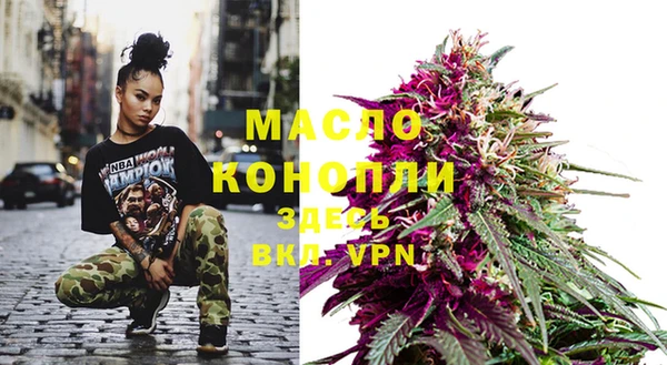 гашик Богданович