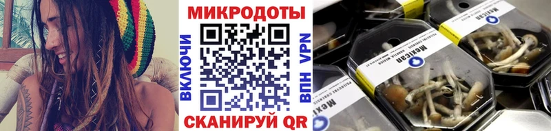 ссылка на мегу   Няндома  Псилоцибиновые грибы ЛСД 